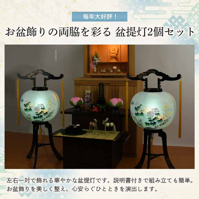 回転 11号 菊蒔絵  2個セット
