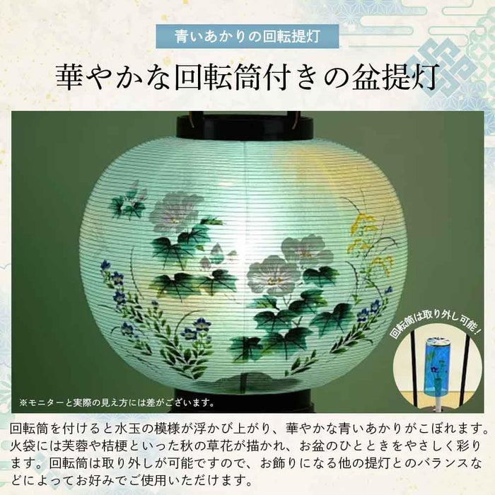 回転 11号 菊蒔絵  2個セット