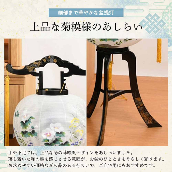 回転 11号 菊蒔絵  2個セット