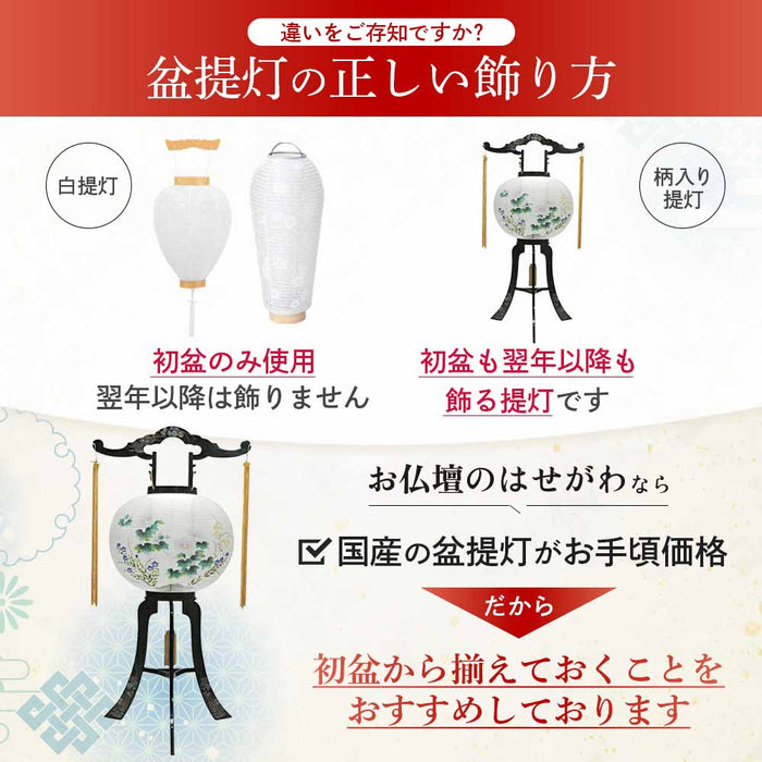 回転 11号 菊蒔絵
