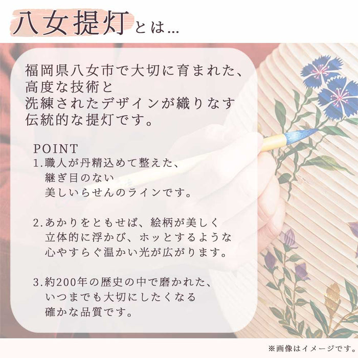 新型 ココランツリー 萩