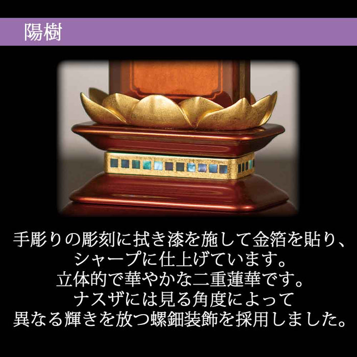 位牌 過去帳 陽樹(ようじゅ) 特徴 4