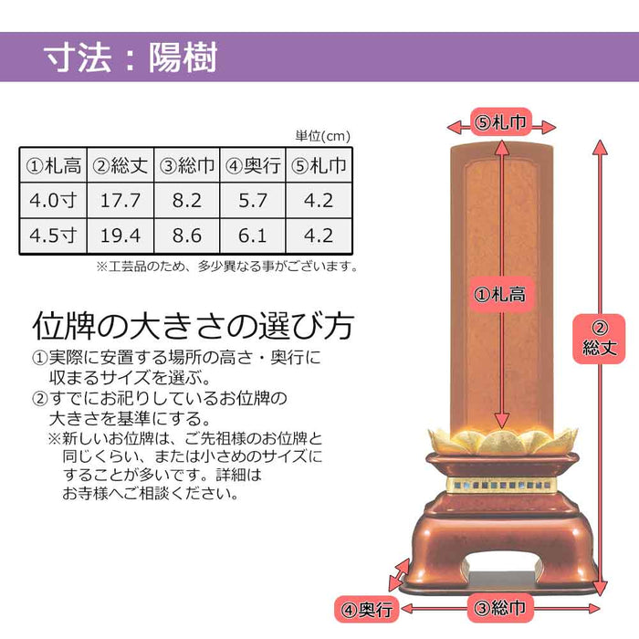 位牌 過去帳 陽樹(ようじゅ) 特徴 8
