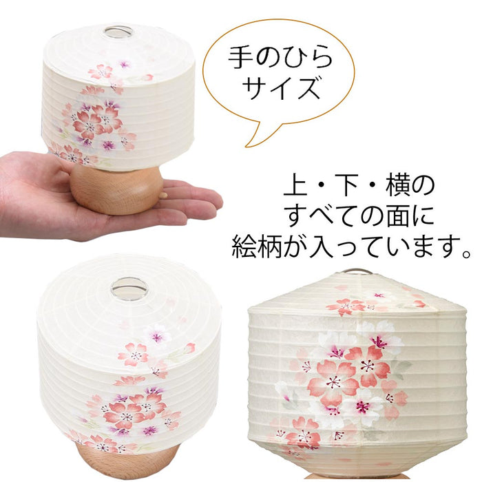 盆提灯 新型 ココラン 古典桜 特徴 3