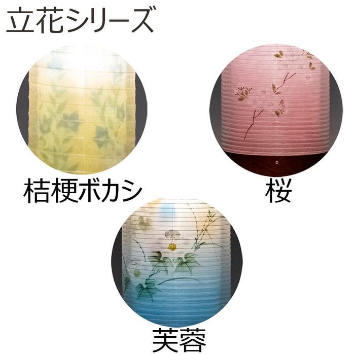 盆提灯 新型 立花６号 桔梗ボカシ 回転 特徴 5