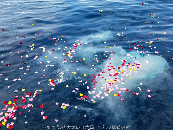 海洋葬（Ｎプラン）
